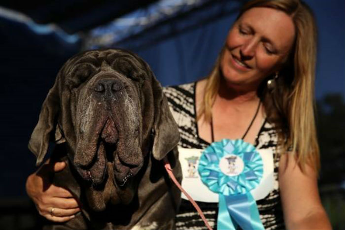Martha, Juara Dunia dalam Kategori Anjing Terjelek