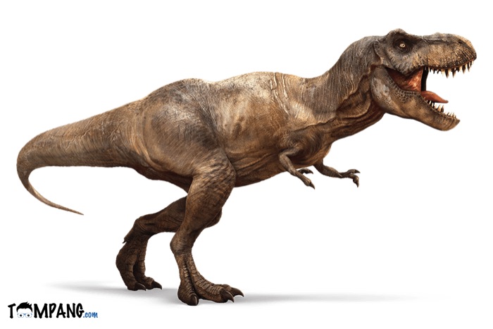 Begini Kekuatan Gigitan T-Rex