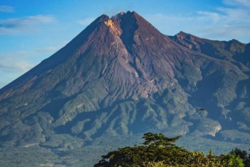 Eksplorasi Alam Mendaki Gunung Merapi, Pesona Alam yang Memukau