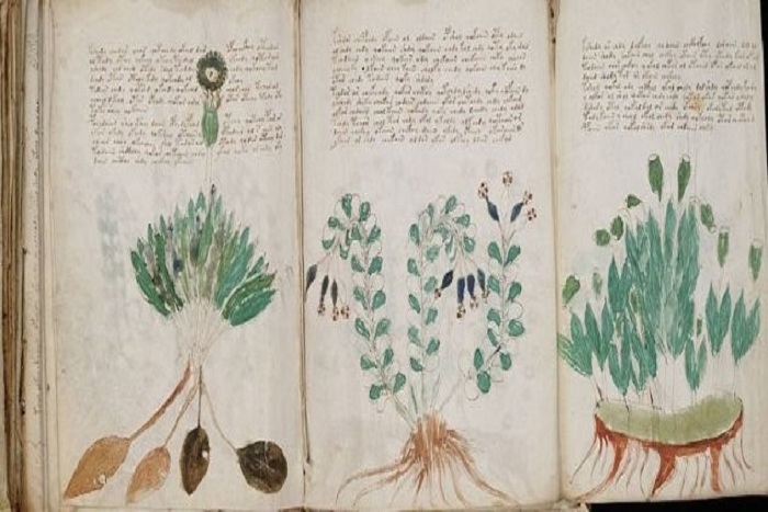 Manuskrip Voynich yang Tak Terpecahkan Hingga Hari Ini