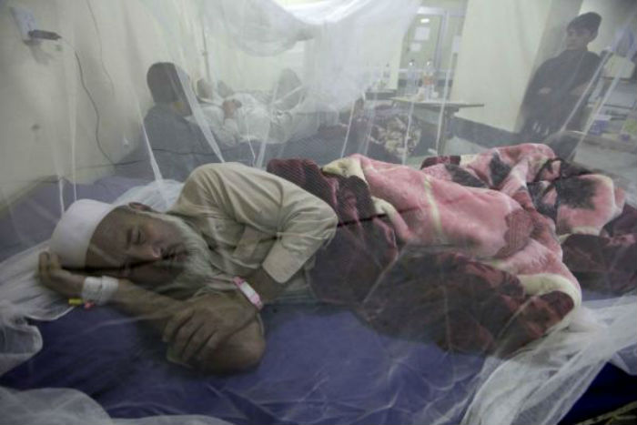 WHO: Batasi Vaksin Dengue ke Orang yang Sudah Terinfeksi
