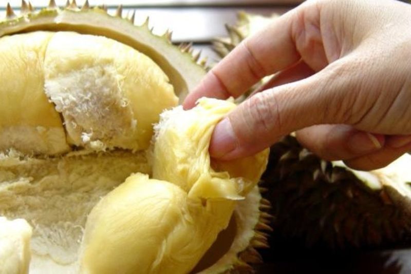 Manfaat Durian untuk Kesehatan