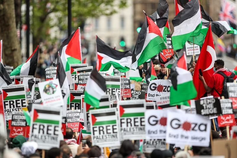 Ratusan Wisudawan Harvard Walkout, Protes Penahanan 13 Mahasiswa Pro Palestina