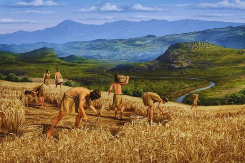 pertanian zaman neolitikum