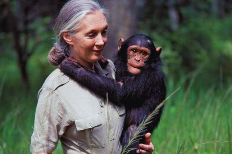 Jane Goodall