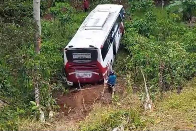 Bus Masuk Jurang di Lampung Gegara Terhalang Kabut