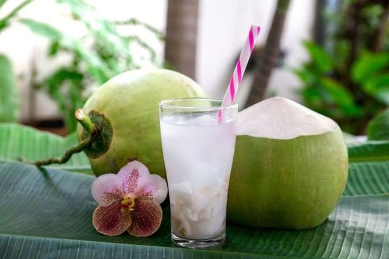 Sari Kelapa