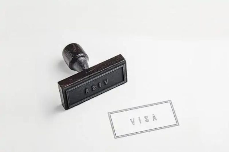 Pengertian Visa