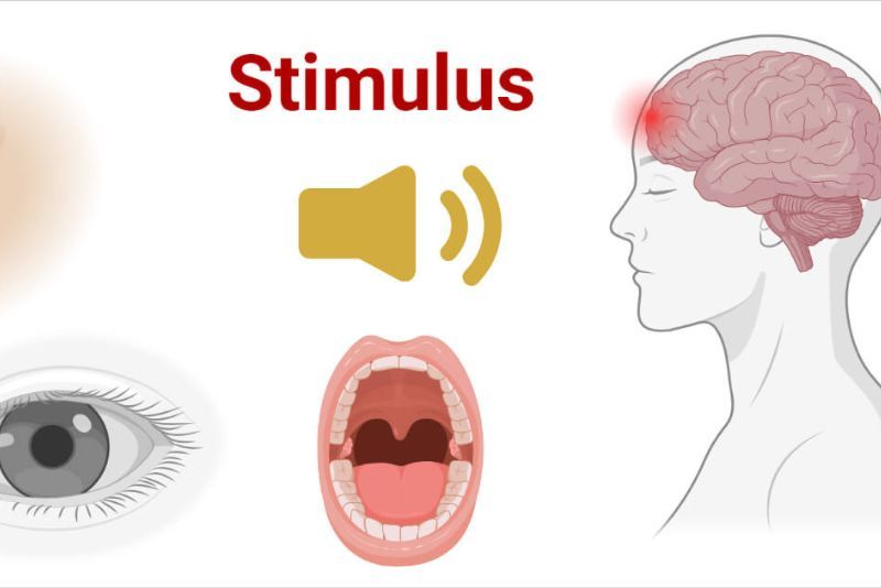 Pengertian Stimulus