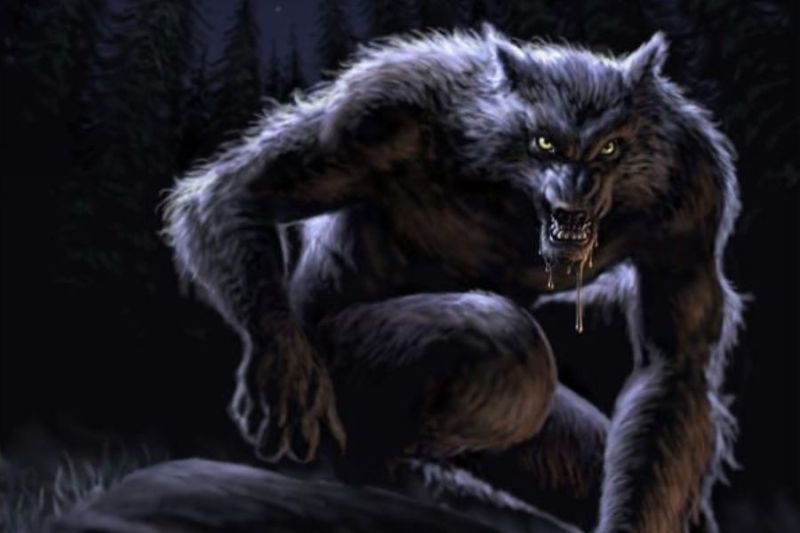 ilustrasi werewolf