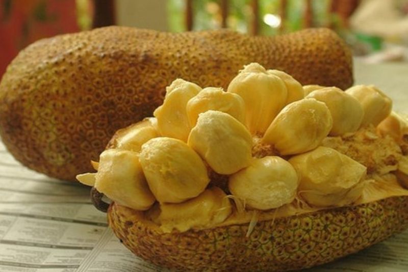 Buah Cempedak