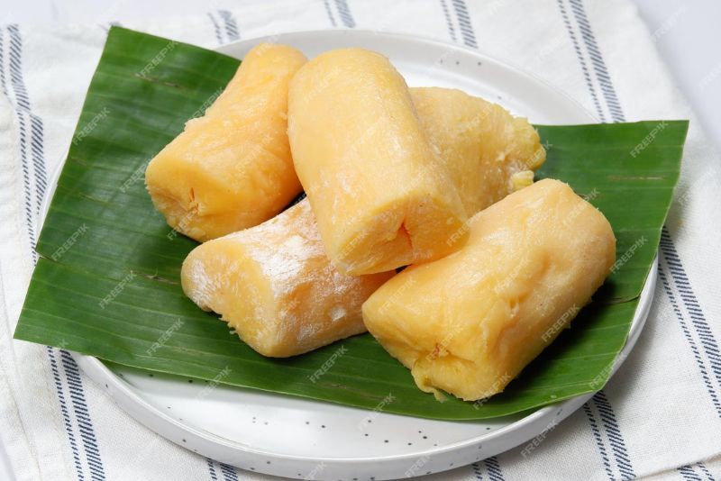 Tapai Lezat