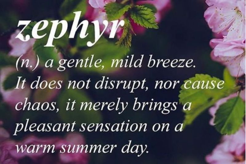 zephyr