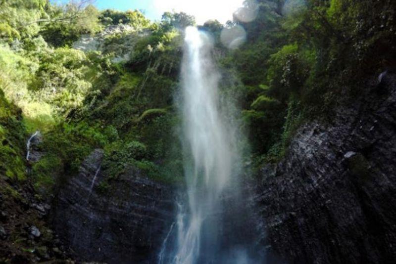 Mengeksplorasi Air Terjun Kali Pancur: Permata Tersembunyi, Trekking Hutan, Observasi Satwa