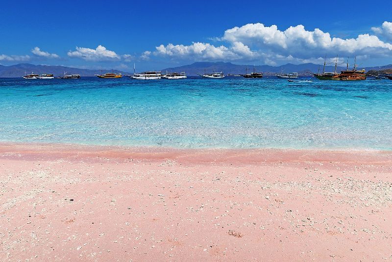 Pantai Pink: Keindahan Pantai Unik di Pulau Lombok