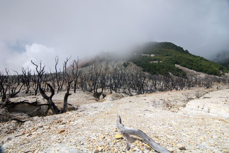 Petualangan Seru di Gunung Papandayan