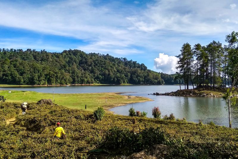 Menikmati Ketenangan di Danau Situ Patenggang: Keindahan Alam yang Memanjakan Jiwa