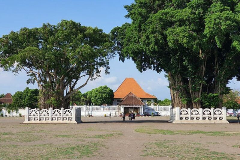 Mengagumi Keindahan Alun-alun Kidul Yogyakarta: Tradisi, Kuliner, Kegiatan Malam