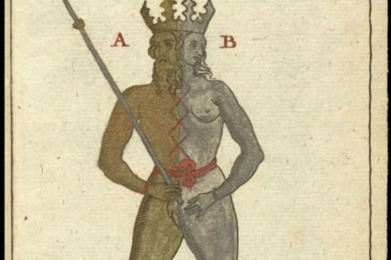 Ilustrasi Hermaphroditus