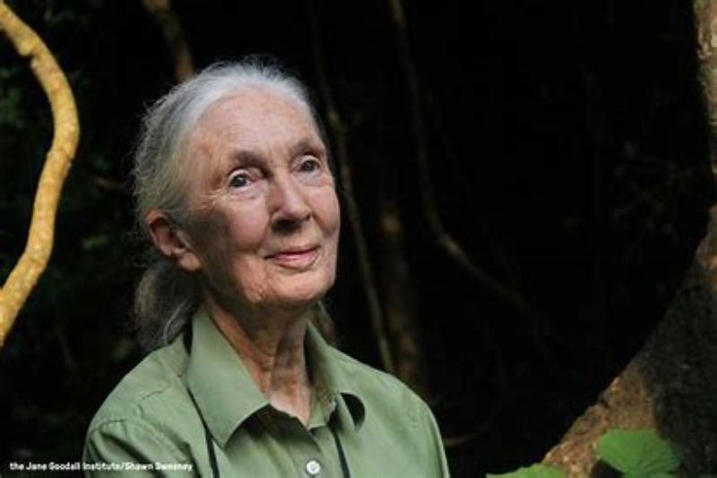 Jane Goodall: