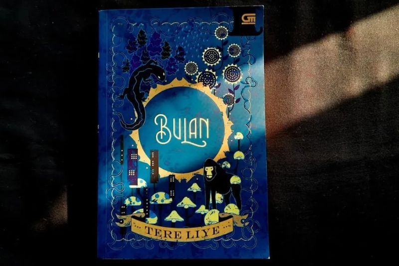 Mengupas Makna "Bulan" Karya Tere Liye