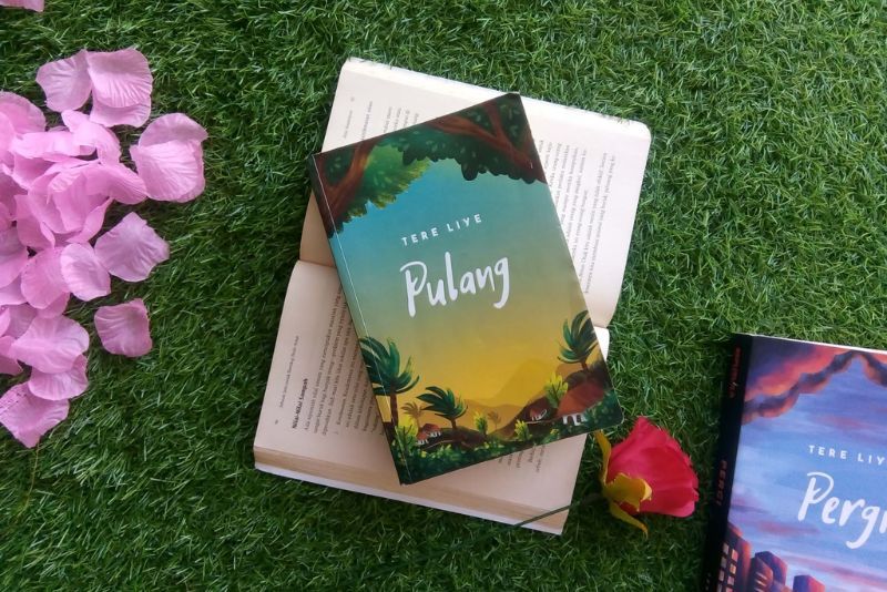 Mengupas Novel "Pulang" Karya Tere Liye