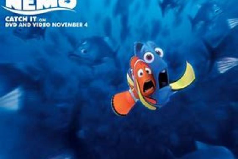 Finding Nemo