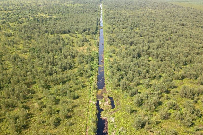 Peran Air dalam Ekosistem: Menjaga Keseimbangan Alam