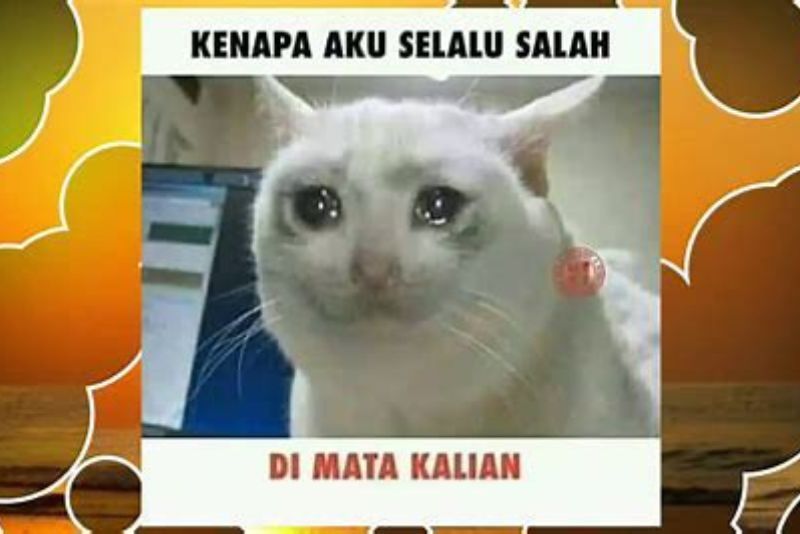 Humor Kucing dan Tikus