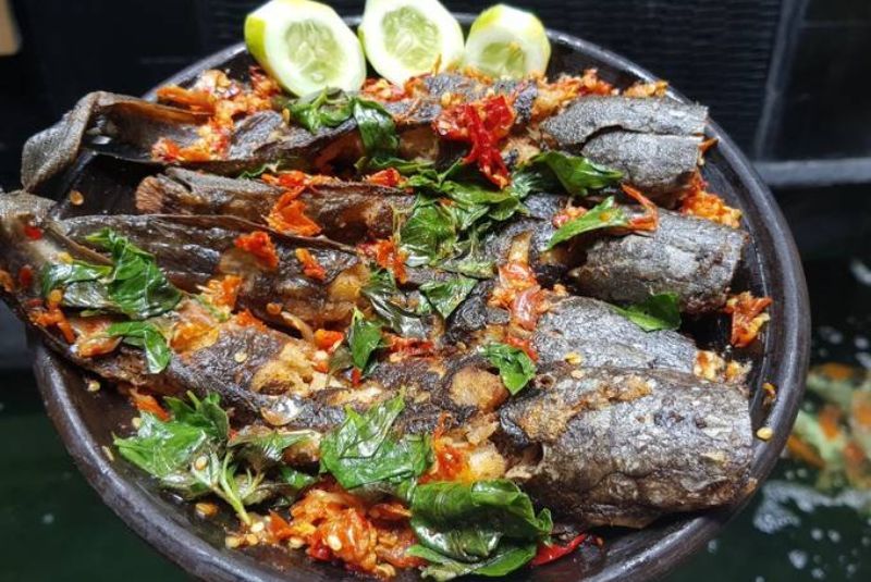 Resep Membuat Olahan Lele Enak