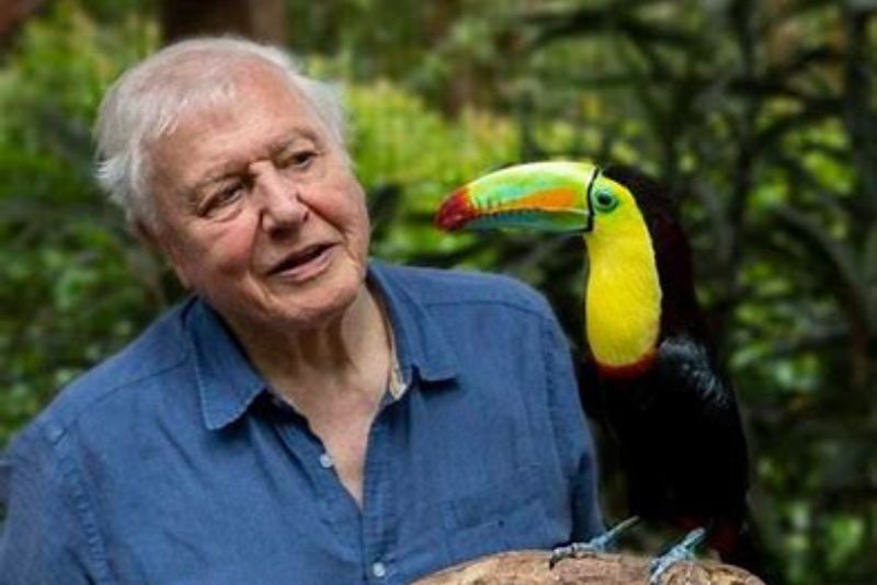 David Attenborough