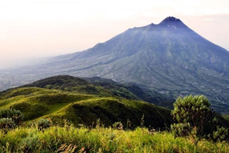 Inspirasi dari Alam: Pelajaran Berharga dari Kehidupan Liar