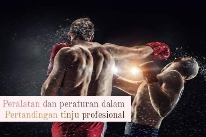 Memahami Aturan dan Regulasi dalam Pertandingan Tinju