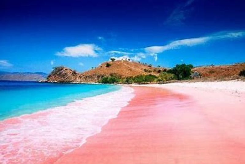 Pantai Pink