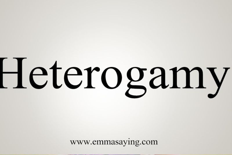 Pengertian Heterogami