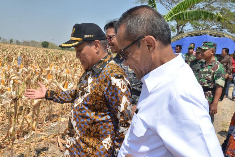 Gerakan "Stop Boros Pangan" Diyakini Bisa Bikin RI Bebas Impor Pangan