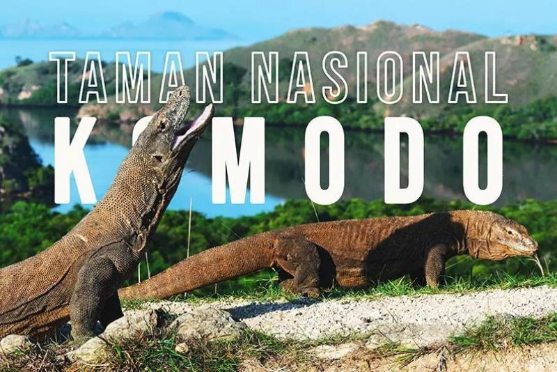 Laut di Taman Nasional Komodo