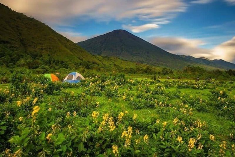 Surga Tersembunyi di Belantara Alam