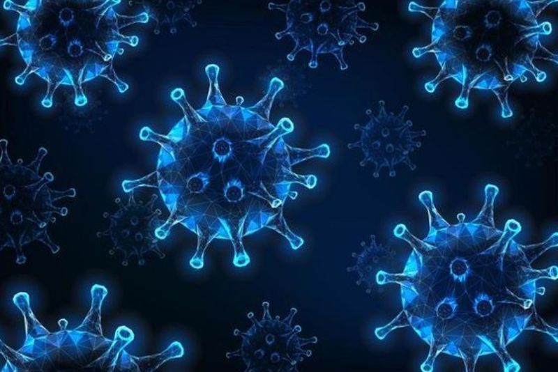 Potensi Virus Oropouche Jadi Next Pandemi: Apa yang Perlu Kita Ketahui?