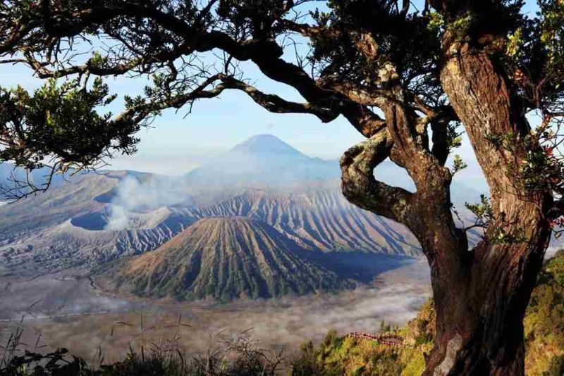 TNBTS Larang Wisatawan Dirikan Tenda di Kawasan Gunung Bromo