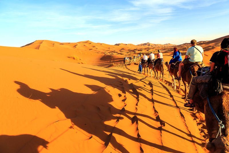 Petualangan di Gurun Saudi Arabia