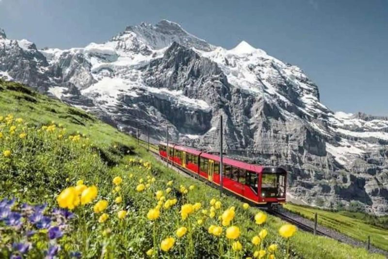 Petualangan di Pegunungan Alpen Swiss