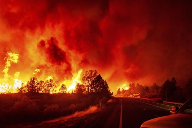 Kebakaran hutan di Tehama County, California, AS, Jumat (26/7/2024)