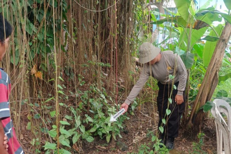 Lokasi penemuan bayi