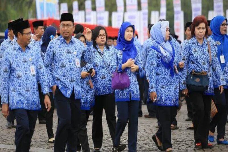 64 Link Pengumuman Hasil Seleksi Administrasi CPNS 2024