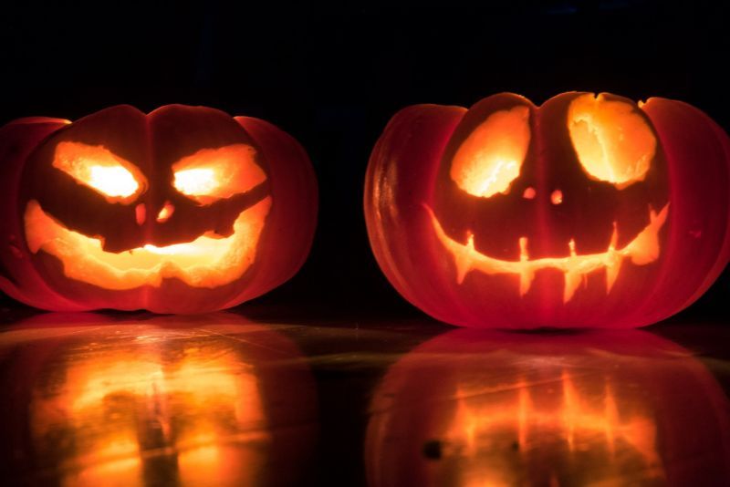 Halloween Tanpa Tontonan Horror? Gak Asik Cek 3 Rekomendasi Ini