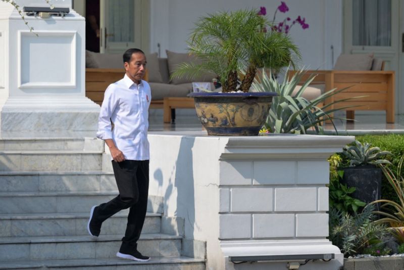 Jokowi Bawa Pulang 43 Ekor Kambing Peliharaan ke Solo dari Bogor