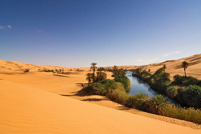 Danau Gurun Sahara Kembali Terisi, Perdana Dalam 50 Tahun