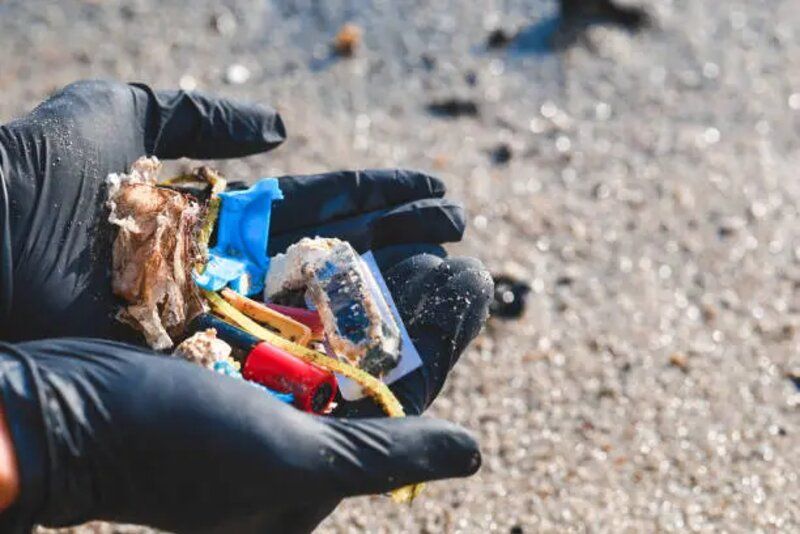 Waspada! Daftar 14 Makanan Paling Banyak Mengandung Mikroplastik