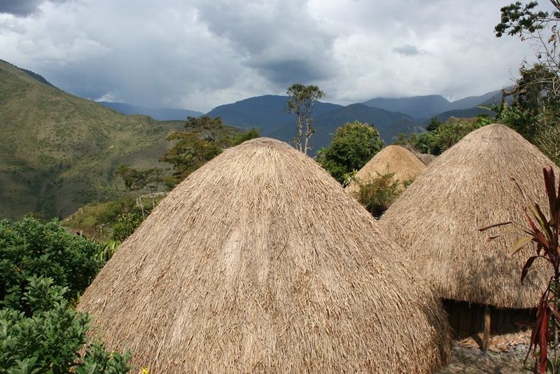 PAFI Papua Pegunungan